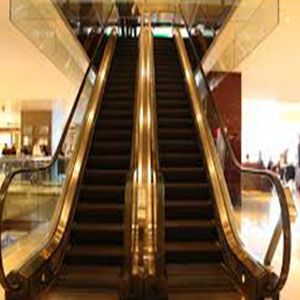 Thang cuốn nhập khẩu 03